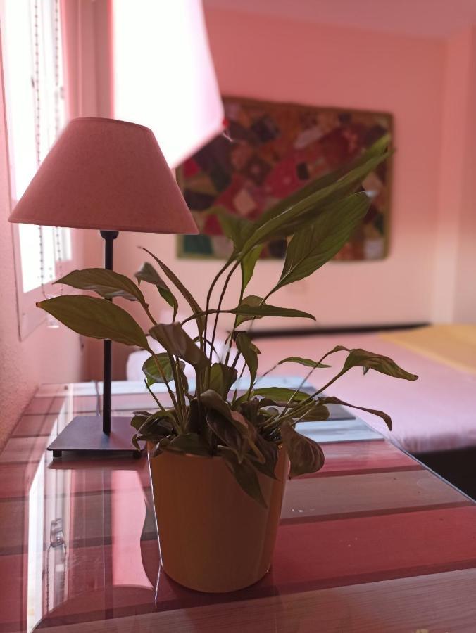 דירות מאלגה Confortable Habitacion Centrica En Piso Privado מראה חיצוני תמונה